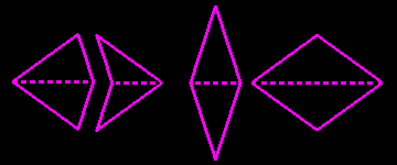 pavés de Penrose 1