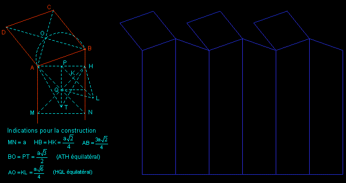 net of alveolus